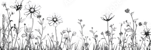 Delicate black and white watercolor dandelion field silhouette against a clean white background