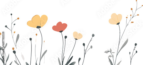 Delicate watercolor poppies and wild grasses bloom against a clean white background
