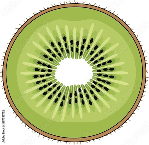 Cross section of a fresh kiwi fruit with seeds on a white plain background view