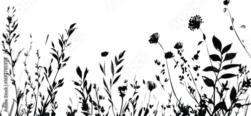 Black silhouette of delicate wildflowers and tall grasses against a clean white background