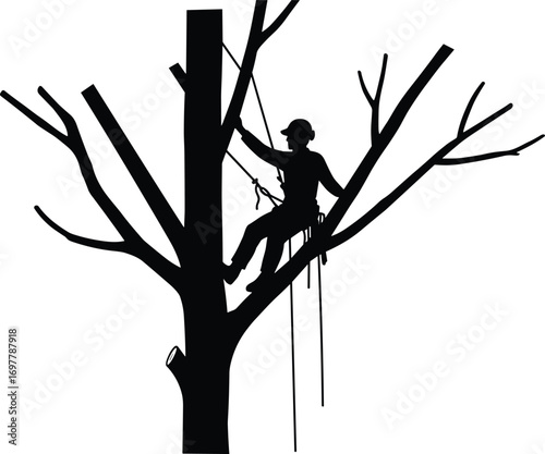 Silhouette of arborist climbing tree with safety harness, professional tree worker, tree trimming, outdoor work, forestry job, arboriculture safety