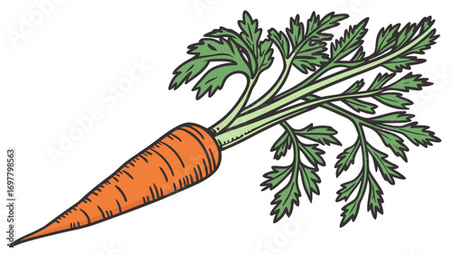 Illustration of a vibrant orange carrot with detailed green leaves extending from the top of the vegetable created with generated ai