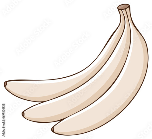 A bunch of three off white bananas in a simple cartoon drawing style