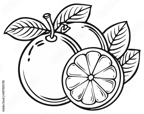 Fresh Orange Fruit with Leaves and Slice Illustration Outline Graphic