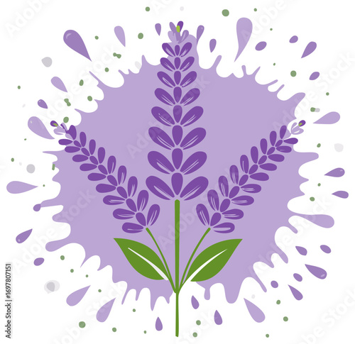 Stylized Lavender Bouquet with Splash Graphic, Purple Flower Vector Illustration