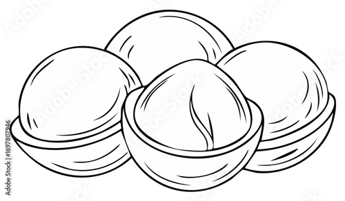 Line art illustration of macadamia nuts, with one nut cracked open displaying its kernel.