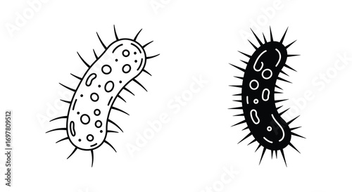 microscopic view of two bacteria cells side by side