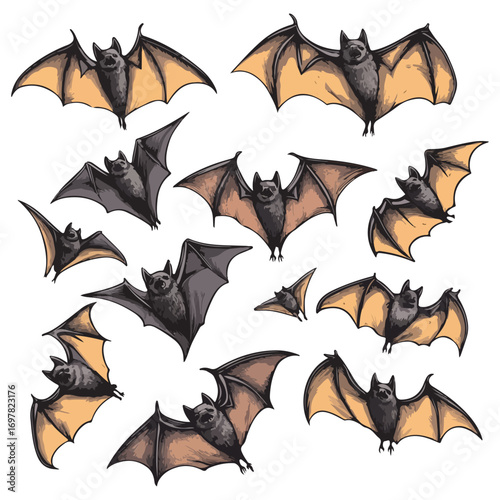 bat, animal, halloween, festival, decoration, vector, transparent background, horror, night, wings, wing, scary, dracula, vampire, dark, bats, a group of bats, icon, october, celebration, autumn