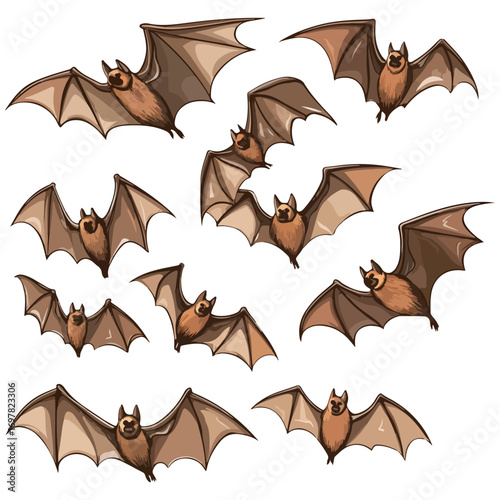 bat, animal, halloween, festival, decoration, vector, transparent background, horror, night, wings, wing, scary, dracula, vampire, dark, bats, a group of bats, icon, october, celebration, autumn