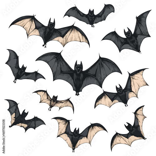 bat, animal, halloween, festival, decoration, vector, transparent background, horror, night, wings, wing, scary, dracula, vampire, dark, bats, a group of bats, icon, october, celebration, autumn