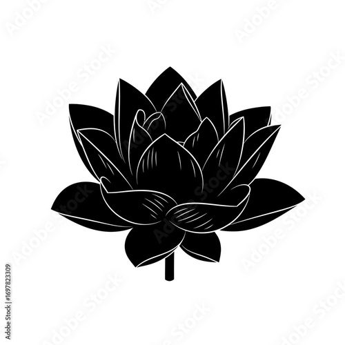 Silhouette of a blooming lotus flower, detailed line art, black and white.