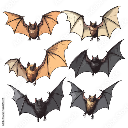 bat, animal, halloween, festival, decoration, vector, transparent background, horror, night, wings, wing, scary, dracula, vampire, dark, bats, a group of bats, icon, october, celebration, autumn