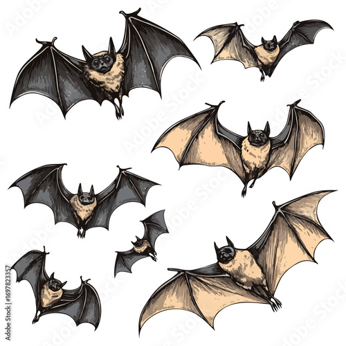 bat, animal, halloween, festival, decoration, vector, transparent background, horror, night, wings, wing, scary, dracula, vampire, dark, bats, a group of bats, icon, october, celebration, autumn