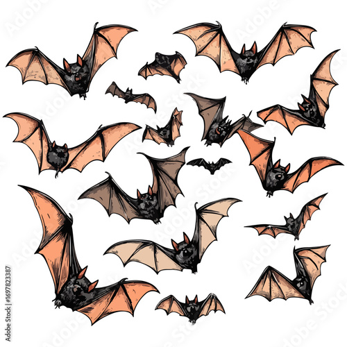 bat, animal, halloween, festival, decoration, vector, transparent background, horror, night, wings, wing, scary, dracula, vampire, dark, bats, a group of bats, icon, october, celebration, autumn