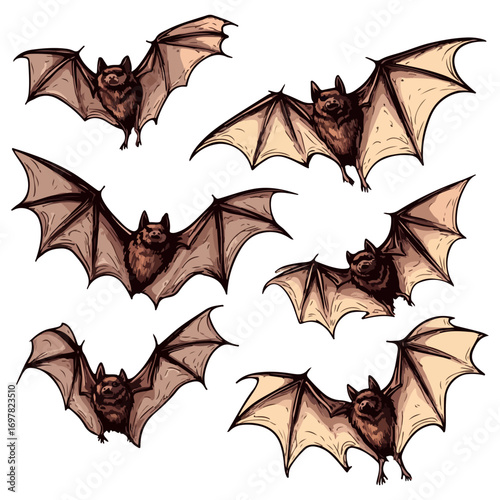 bat, animal, halloween, festival, decoration, vector, transparent background, horror, night, wings, wing, scary, dracula, vampire, dark, bats, a group of bats, icon, october, celebration, autumn
