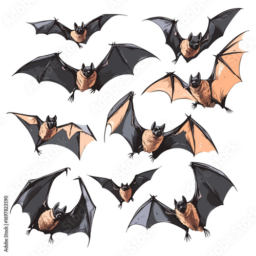 bat, animal, halloween, festival, decoration, vector, transparent background, horror, night, wings, wing, scary, dracula, vampire, dark, bats, a group of bats, icon, october, celebration, autumn