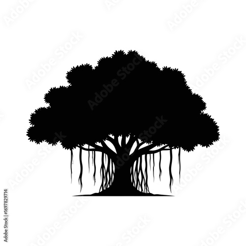 Silhouette of a large banyan tree with aerial roots.