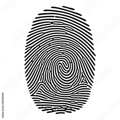 Close-up detail of a unique fingerprint pattern showing intricate ridge lines and swirls vector