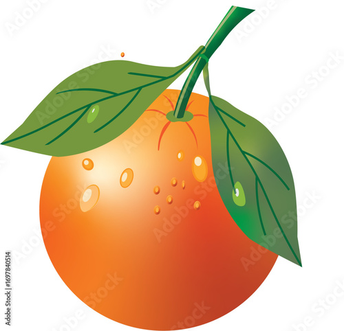 orange fruit with leaves