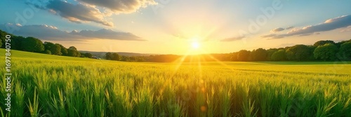 Golden hour sunlight bathes a vibrant summer landscape, illuminating lush green fields and a clear blue sky  Perfect for travel, summer, and nature themes ,  holiday,  summer vibes