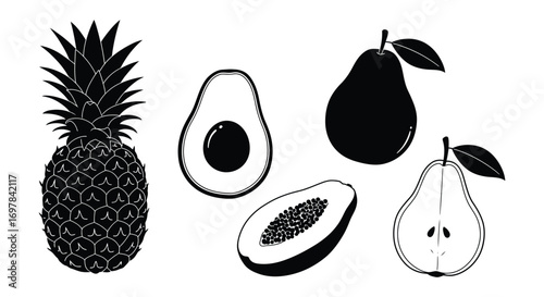 tropical fruits illustration featuring pineapple avocado papaya pear