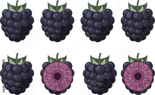 Blackberry, fruit, whole, sliced, fresh, organic, purple, juicy, healthy, berry, nutrition, botanical, food, sweet, vibrant