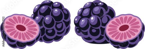 Blackberry, fruit, whole, sliced, juicy, purple, red, fresh, organic, sweet, berry, nutrition, vibrant, healthy, botanical