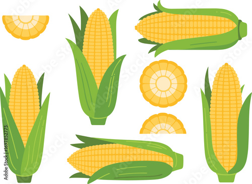 Corn, cob, husk, peeled, whole, sliced, yellow, kernels, vegetable, fresh, organic, food, nutrition, healthy, agriculture