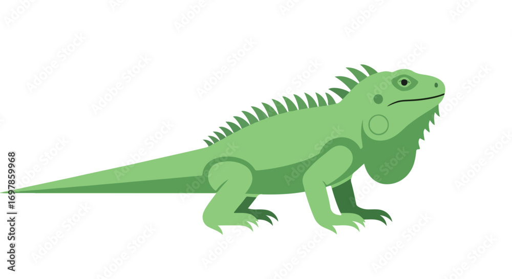 Obraz premium Stylized green iguana vector illustration with spiky dorsal crest, perfect for educational materials and pet shop advertisements and exotic fauna