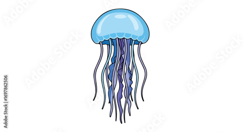 Captivating blue jellyfish illustration with translucent bell and flowing tentacles against a clean white backdrop that creates a serene ocean