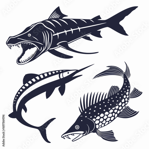 Three different predatory fish silhouettes, including a barracuda, a swordfish, and a pike, showcasing their distinctive features and hunting prowess