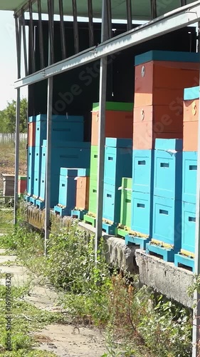 Apiary. Bees collect honey in honeycombs. Modern hives with honeycombs. The product of bees' vital activity is honey.