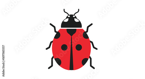 Stylized ladybug with striking red carapace and distinct black spots creating a clear and simplistic isolated graphic rendition