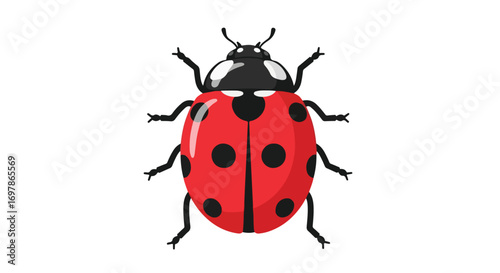Stylized Ladybug Illustration with Vibrant Red and Black Markings on a Clean White Canvas backdrop