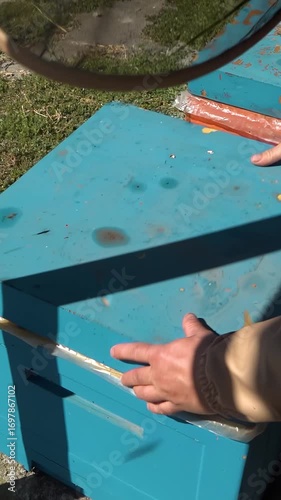Apiary. Bees collect honey in honeycombs. Modern hives with honeycombs. The product of bees' vital activity is honey.