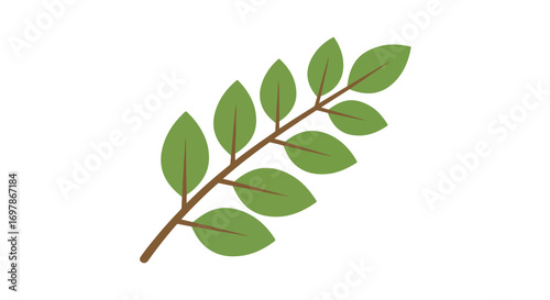 Stylized sprig with paired leaves forming a natural design element for graphic or decorative projects vector nature concept illustration 76 characters