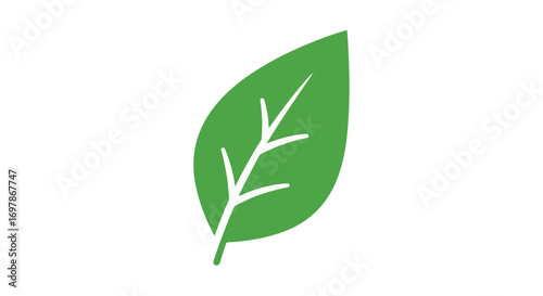 Leaf icon illustration representing botanical element and ecological concept on white backdrop offering simplicity and purity for environmental