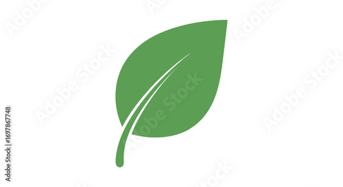 Stylized green leaf vector illustration on a pristine white backdrop symbolizing nature and botanical simplicity