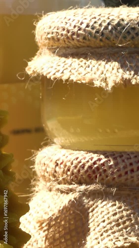Apiary. Bees collect honey in honeycombs. The product of bees' vital activity is honey.