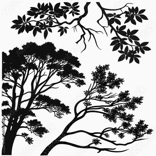Collection of detailed black tree branches and leaves silhouettes against a white background