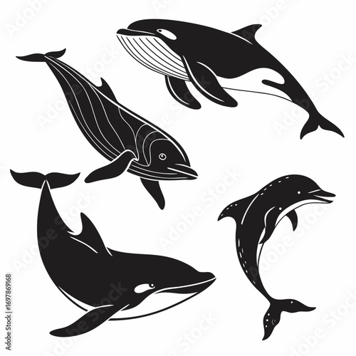 Collection of stylized black silhouette illustrations of orcas and dolphins swimming in different poses