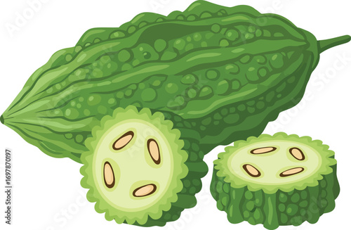 Fresh organic bitter melon vegetable isolated healthy ingredient for cooking and diet vector