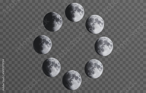 Set of realistic vector moon on an isolated transparent background. Moon vector png.