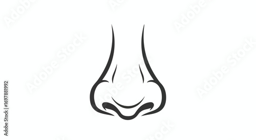 Stylized Nasal Passage Illustration: A Simple Depiction of Human Olfactory Anatomy in Black and White Line Art Design