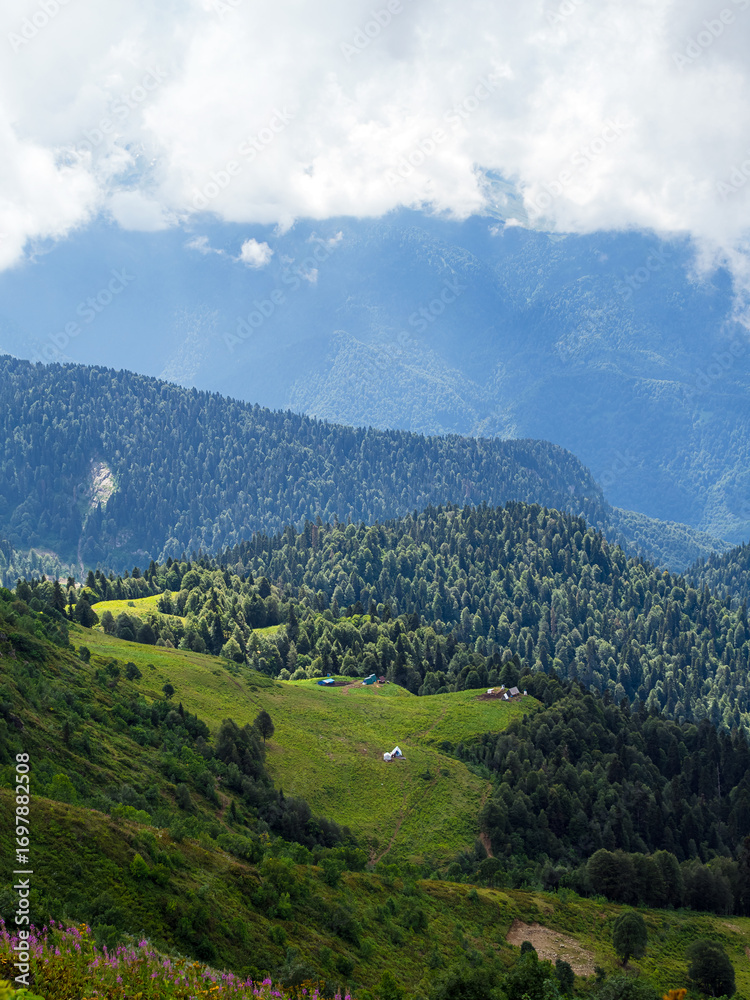 Fototapeta premium view of a valley high in the mountains in summer