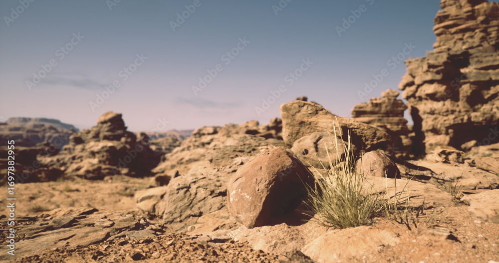 Fototapeta premium The view showcases a rugged desert landscape dotted with large rocks and sparse tufts of grass. The clear sky enhances the arid atmosphere typical of a desert environment.