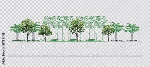 Top View Vector Icons of Trees and Plants for Floor Plan and Architectural Design Projects	