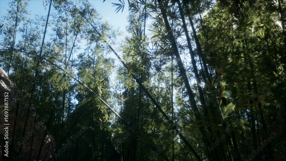 Fototapeta premium Lush green bamboo shoots stretch skyward as sunlight gracefully filters through the dense foliage, illuminating the tranquil forest floor on a bright day.