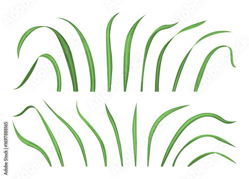 Green grass blade collection