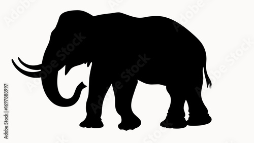 Silhouette of a woolly mammoth with long tusks and a raised trunk standing on a white background view